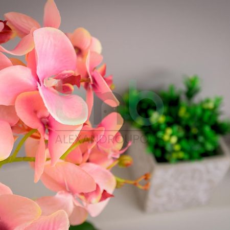 The Floral Suite Alexandroupoli Eksteriør billede