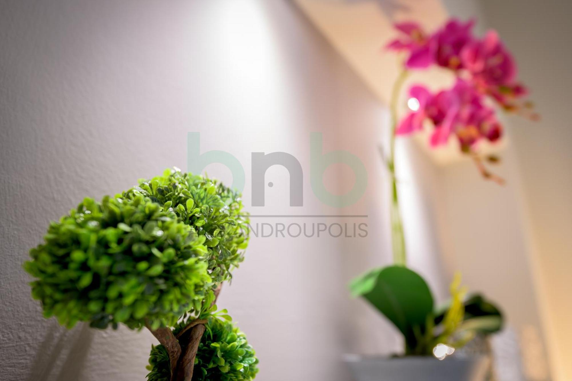 The Floral Suite Alexandroupoli Eksteriør billede